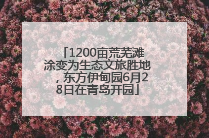 1200亩荒芜滩涂变为生态文旅胜地，东方伊甸园6月28日在青岛开园