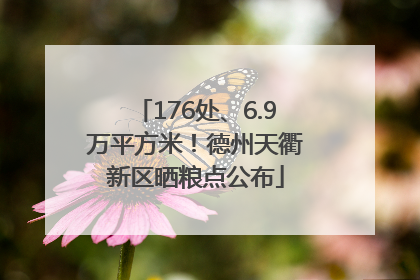 176处、6.9万平方米！德州天衢新区晒粮点公布