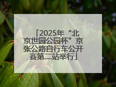 2025年“北京世园公园杯”京张公路自行车公开赛第二站举行