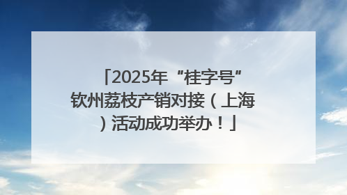 2025年“桂字号”钦州荔枝产销对接（上海）活动成功举办！