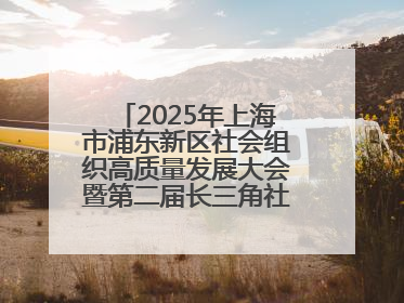 2025年上海市浦东新区社会组织高质量发展大会暨第二届长三角社会组织高质量发展峰会成功举办
