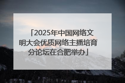 2025年中国网络文明大会优质网络主播培育分论坛在合肥举办