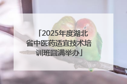 2025年度湖北省中医药适宜技术培训班圆满举办