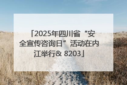 2025年四川省“安全宣传咨询日”活动在内江举行& 8203