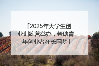 2025年大学生创业训练营举办，帮助青年创业者在长圆梦