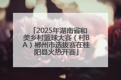 2025年湖南省和美乡村篮球大赛（村BA）郴州市选拔赛在桂阳县火热开赛