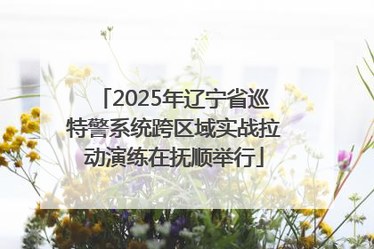 2025年辽宁省巡特警系统跨区域实战拉动演练在抚顺举行