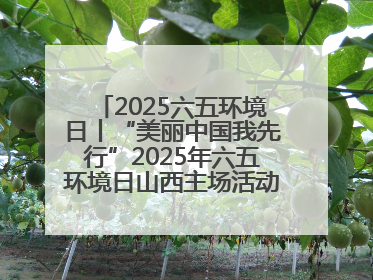 2025六五环境日丨“美丽中国我先行”2025年六五环境日山西主场活动在大同启动 多元形式绘就生态画卷