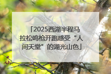2025西湖半程马拉松鸣枪开跑感受“人间天堂”的湖光山色