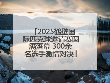 2025鹤壁国际匹克球邀请赛圆满落幕 300余名选手激情对决