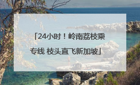 24小时！岭南荔枝乘专线 枝头直飞新加坡