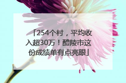 254个村，平均收入超30万！醴陵市这份成绩单有点亮眼