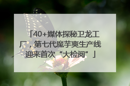 40+媒体探秘卫龙工厂，第七代魔芋爽生产线迎来首次“大检阅”
