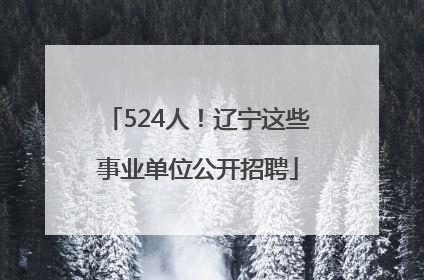524人！辽宁这些事业单位公开招聘