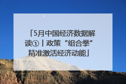 5月中国经济数据解读①丨政策“组合拳”精准激活经济动能
