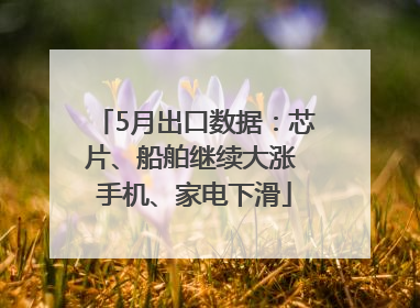 5月出口数据：芯片、船舶继续大涨 手机、家电下滑