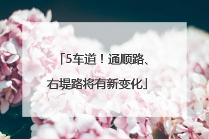 5车道！通顺路、右堤路将有新变化