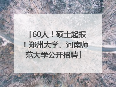 60人！硕士起报！郑州大学、河南师范大学公开招聘