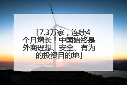 7.3万家，连续4个月增长！中国始终是外商理想、安全、有为的投资目的地