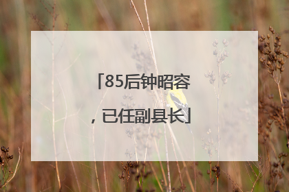 85后钟昭容，已任副县长