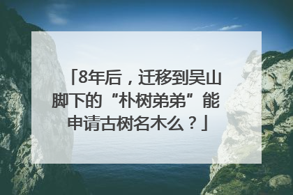 8年后，迁移到吴山脚下的“朴树弟弟”能申请古树名木么？