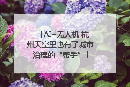 AI+无人机 杭州天空里也有了城市治理的“帮手”
