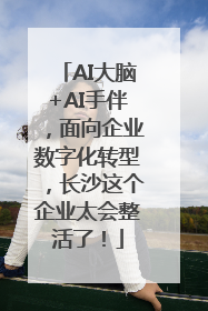 AI大脑+AI手伴，面向企业数字化转型，长沙这个企业太会整活了！