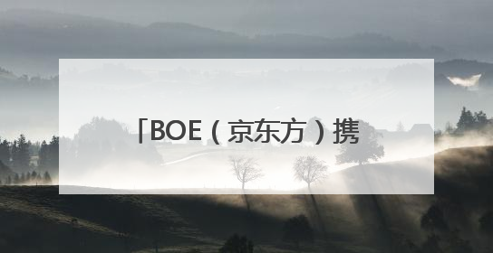 BOE（京东方）携钙钛矿、新能源产品及解决方案亮相2025 SNEC 科技创新赋能行业绿色发展