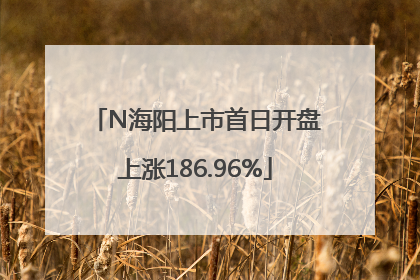 N海阳上市首日开盘上涨186.96%