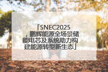 SNEC2025，鹏辉能源全场景储能电芯及系统助力构建能源转型新生态