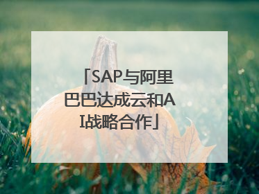 SAP与阿里巴巴达成云和AI战略合作