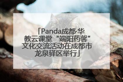 Panda成都·华教云课堂“端阳药馨”文化交流活动在成都市龙泉驿区举行