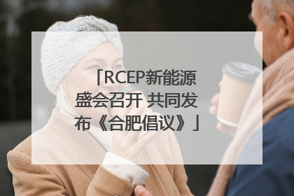RCEP新能源盛会召开 共同发布《合肥倡议》